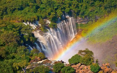 Webinar Turismo, Negócios e Investimento