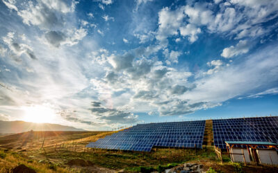 AGRICULTORES COLHEM BENEFÍCIOS DUPLOS COM ENERGIA SOLAR EM CAMPOS